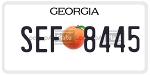 SEF8445  license plate in GA