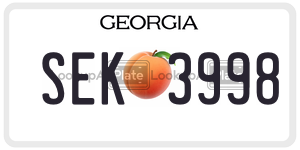 SEK3998  license plate in GA
