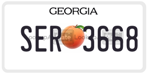 SER3668  license plate in GA