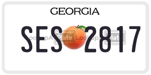 SES2817 license plate in Georgia