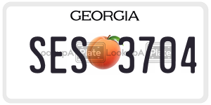 SES3704  license plate in GA