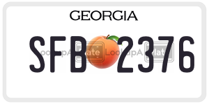 SFB2376  license plate in GA