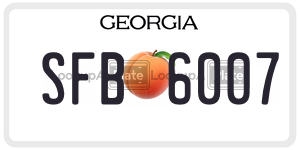 SFB6007 license plate in Georgia