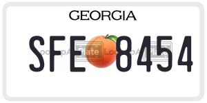 SFE8454  license plate in GA