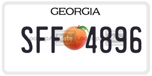 SFF4896 license plate in Georgia