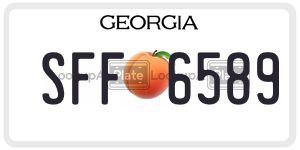 SFF6589  license plate in GA
