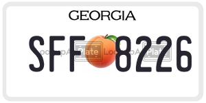 SFF8226  license plate in GA