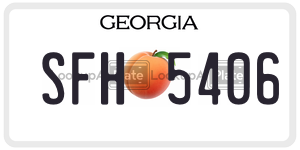 SFH5406 license plate in Georgia