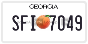 SFI7049  license plate in GA