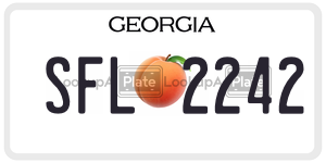 SFL2242 license plate in Georgia