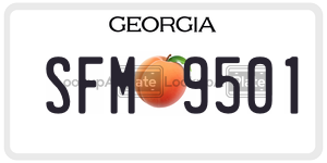 SFM9501  license plate in GA