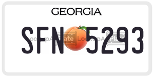 SFN5293  license plate in GA