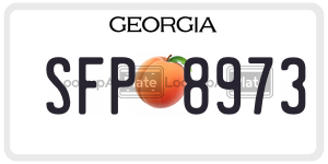 SFP8973  license plate in GA