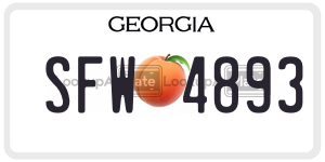 SFW4893 license plate in Georgia