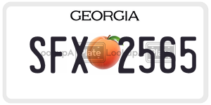 SFX2565 license plate in Georgia