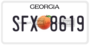 SFX8619  license plate in GA