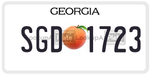 SGD1723  license plate in GA