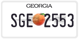 SGE2553 license plate in Georgia