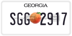 SGG2917  license plate in GA