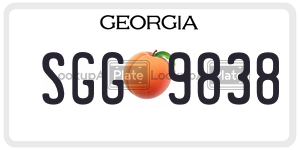 SGG9838 license plate in Georgia