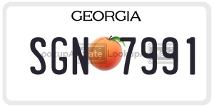 SGN7991  license plate in GA