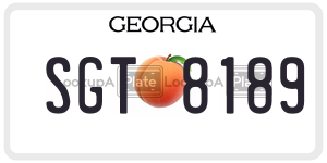 SGT8189 license plate in Georgia
