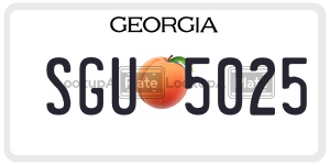 SGU5025  license plate in GA