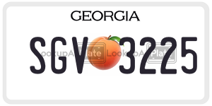 SGV3225 license plate in Georgia