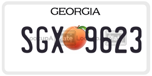 SGX9623 license plate in Georgia