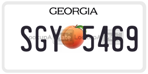 SGY5469 license plate in Georgia