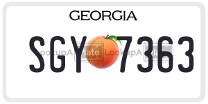 SGY7363 license plate in Georgia