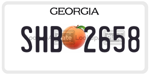 SHB2658  license plate in GA