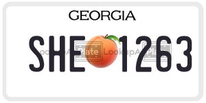 SHE1263 license plate in Georgia