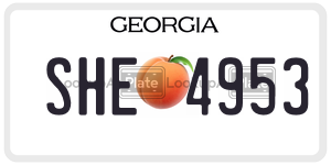 SHE4953  license plate in GA