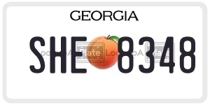 SHE8348 license plate in Georgia