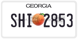 SHI2853  license plate in GA