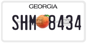 SHM8434  license plate in GA