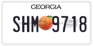 SHM9718  license plate in GA