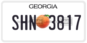 SHN3817  license plate in GA