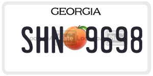 SHN9698  license plate in GA