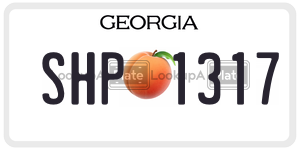 SHP1317  license plate in GA