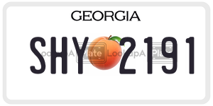 SHY2191  license plate in GA