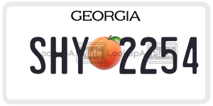 SHY2254 license plate in Georgia