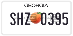 SHZ0395  license plate in GA