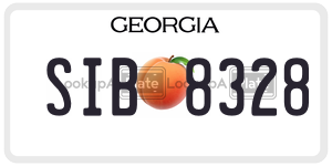 SIB8328  license plate in GA