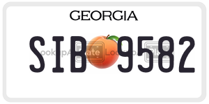 SIB9582 license plate in Georgia