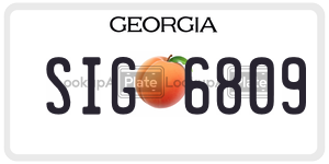 SIG6809 license plate in Georgia