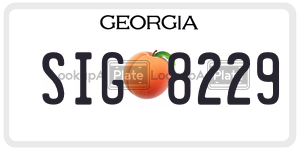 SIG8229 license plate in Georgia
