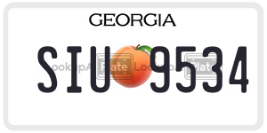 SIU9534 license plate in Georgia