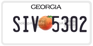 SIV5302 license plate in Georgia